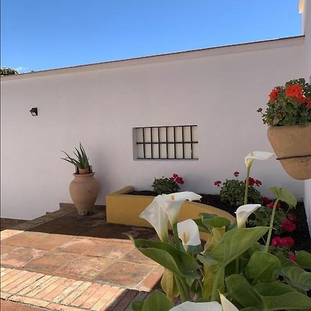 Encantador Apartamento-Centrico-Con Amplio Jardin Torremolinos Luaran gambar