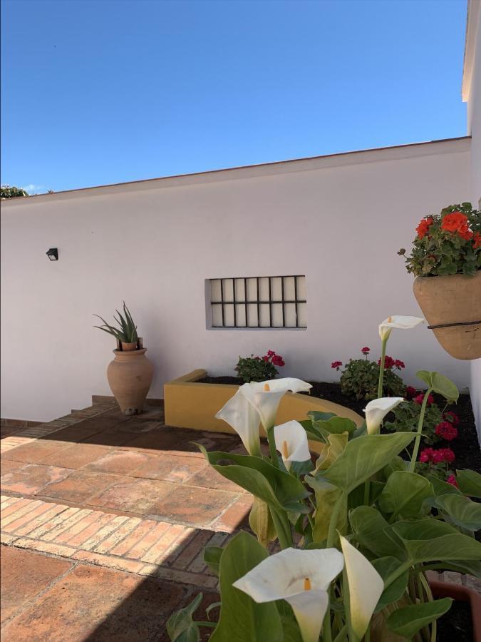 Encantador Apartamento-Centrico-Con Amplio Jardin Torremolinos Luaran gambar