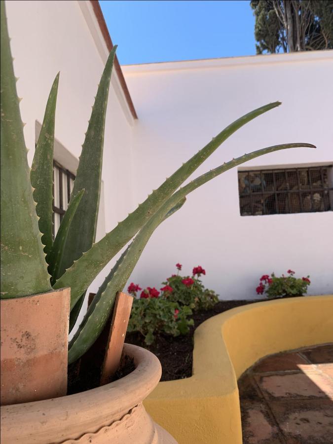 Encantador Apartamento-Centrico-Con Amplio Jardin Torremolinos Luaran gambar